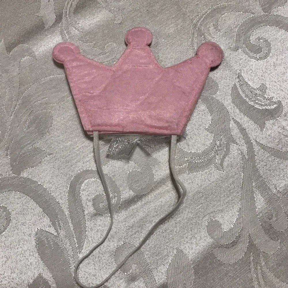 Dog Costume Princess Crown Medium Pink Silver Flower Accent